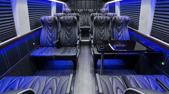 20 passenger sprinter van interior baton rouge