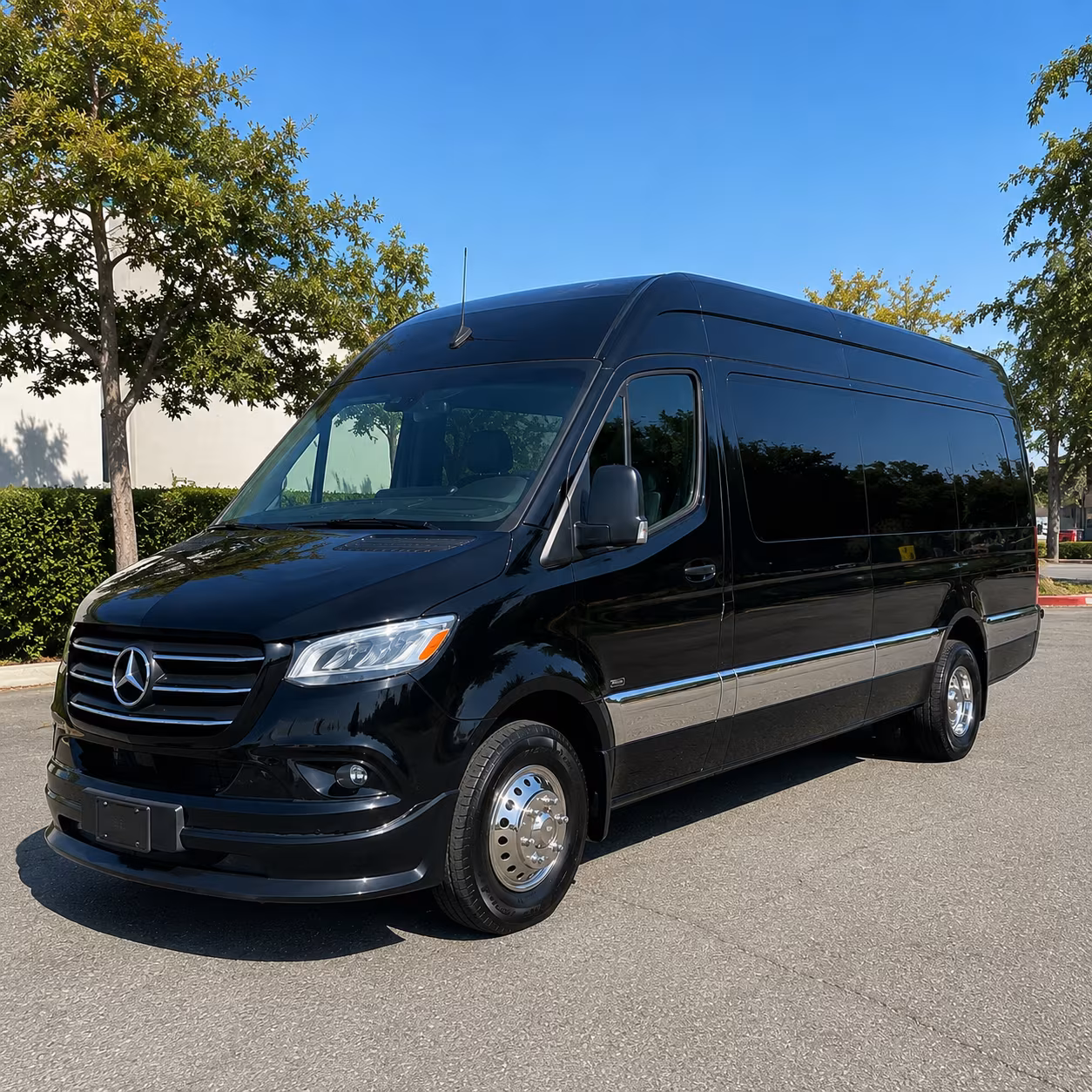 baton rouge 20 passenger sprinter van