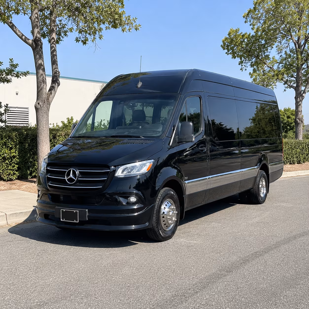baton rouge 8 passenger sprinter van